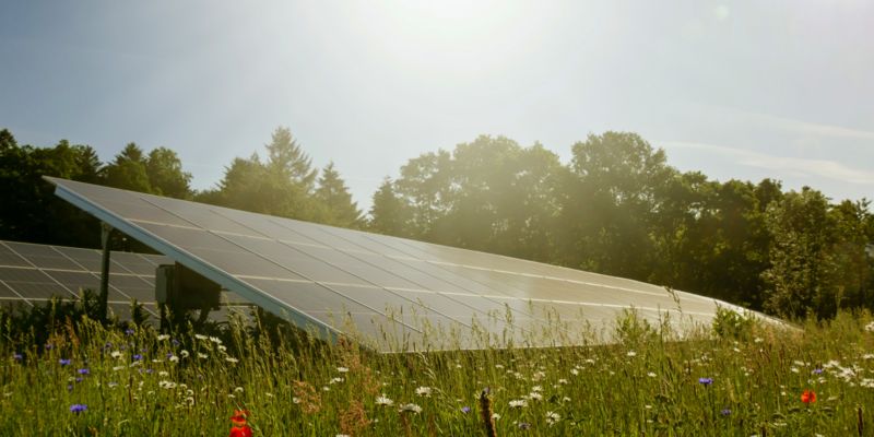 Biodiversität